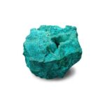 opalina-1